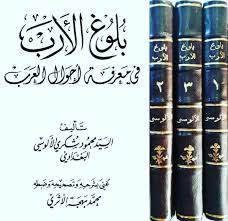 بلوغ الأرب بشرح شذور الذهب.jpg