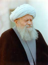 میرزا هاشم آملی.jpg