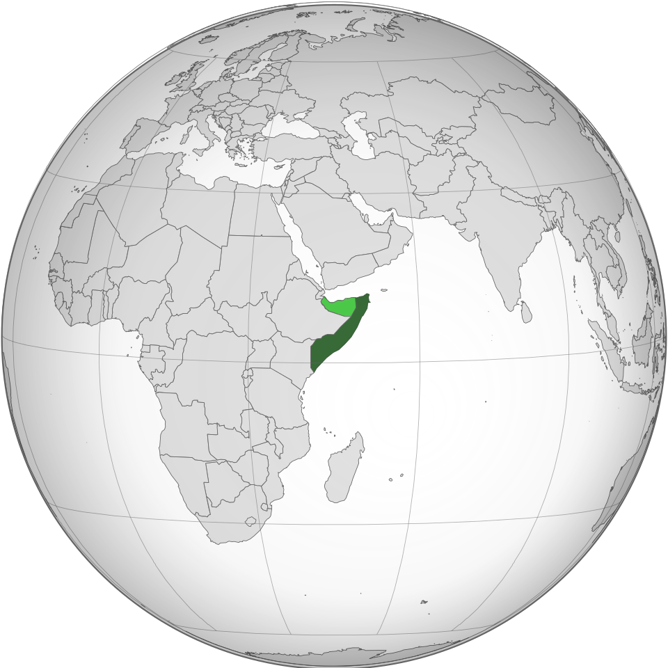 الخطوة الثانية للثورة
