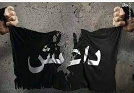 داعش.jpg