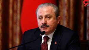 مصطفی+شن توپ.jpg