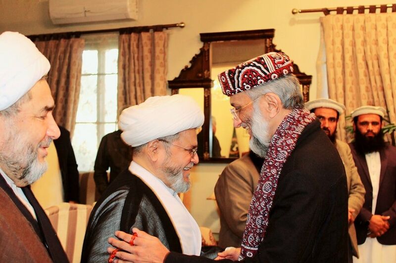File:ملی یکجہتی.jpg