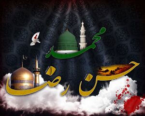 محمد حسن رضا علیهم السلام.jpg