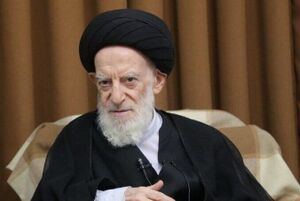 سید موسی شبیری زنجانی.jpg