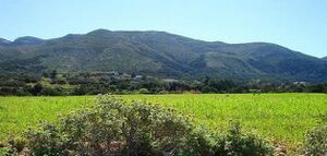 جبل الأخضر فی لیبیا.jpg