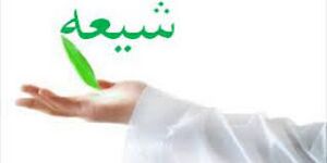 شیعه و شبهه.jpg