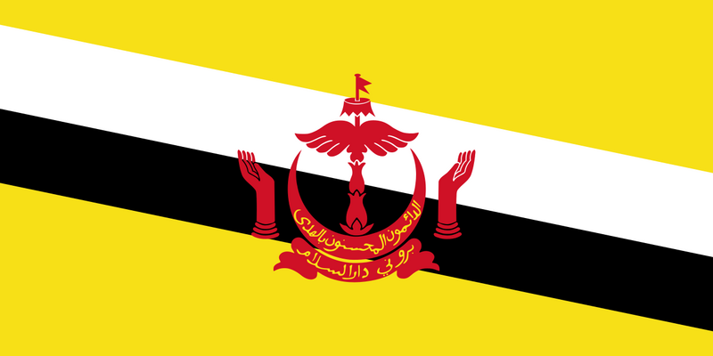 File:پرچم برونئی.png