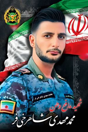 محمد مهدی شاهرخی‌فر.jpg